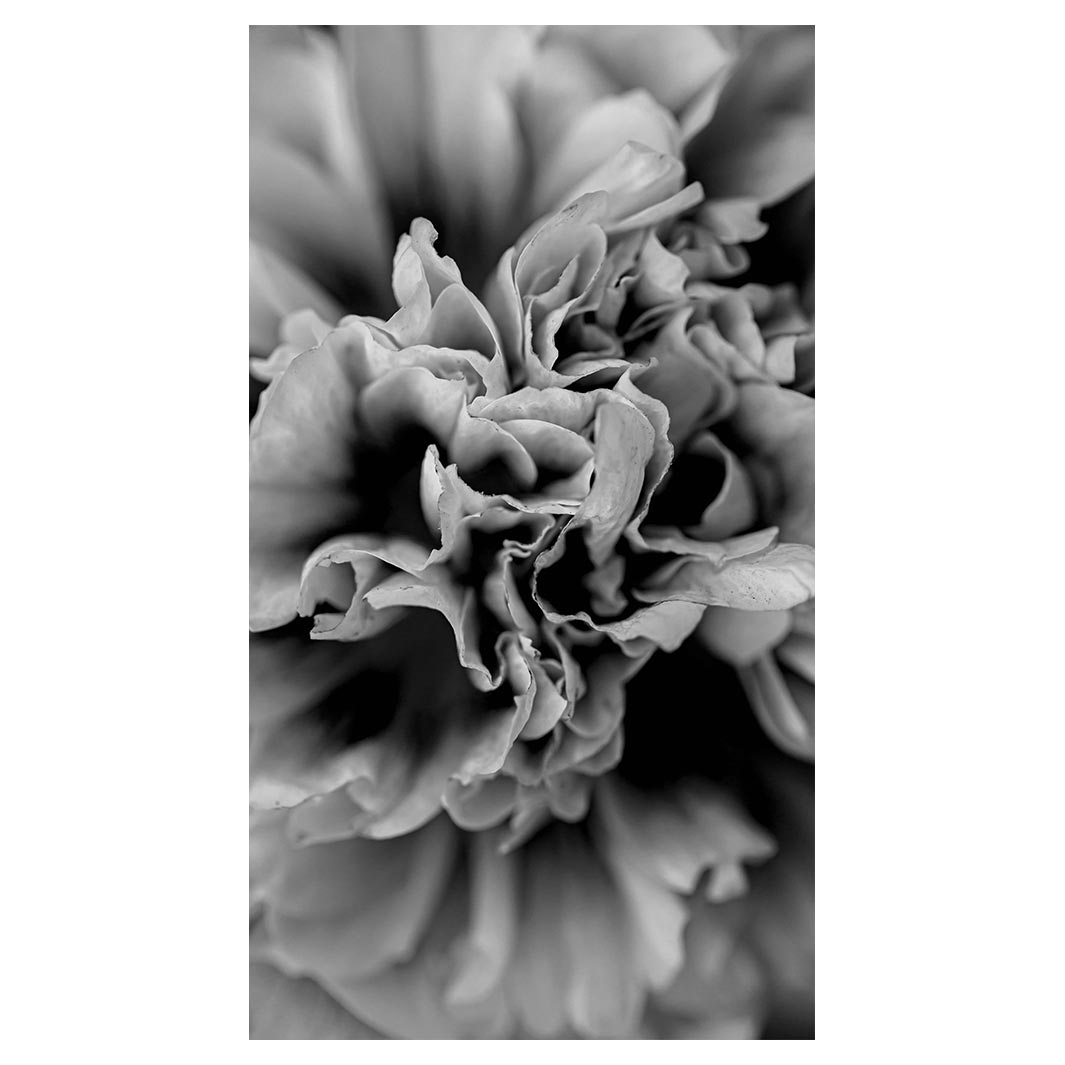 FLORAL BLACK AND WHITE PEONY BUFF