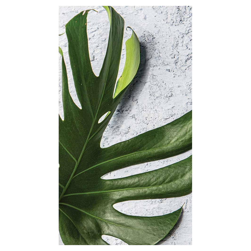 LEAVES GREEN MONSTERA LEAF BUFF