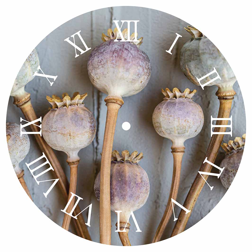 NATURAL PURPLE GIANT POPPY SEEDS ON GREY ROUND CLOCK