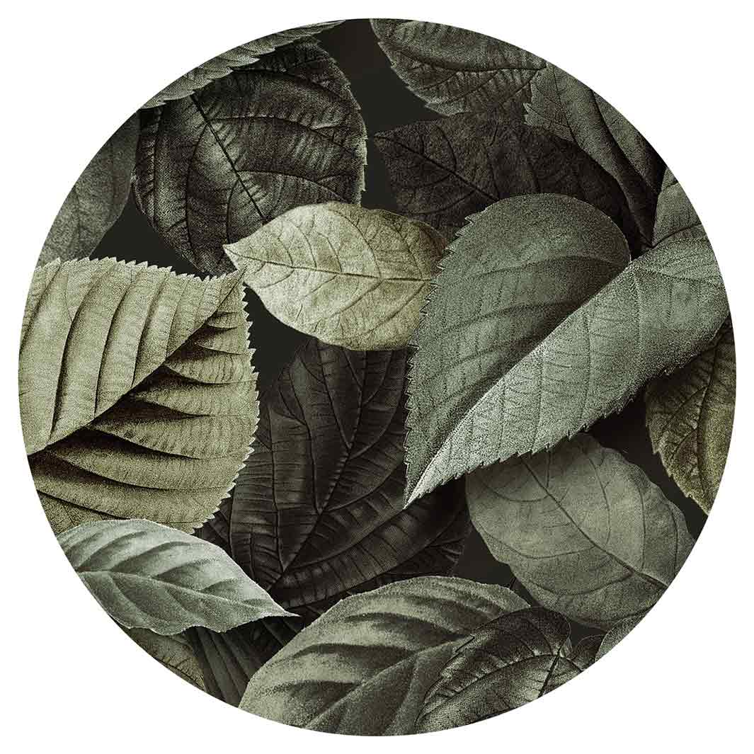 LEAVES GREEN MONOCHROMATIC LEAVES ROUND COASTER