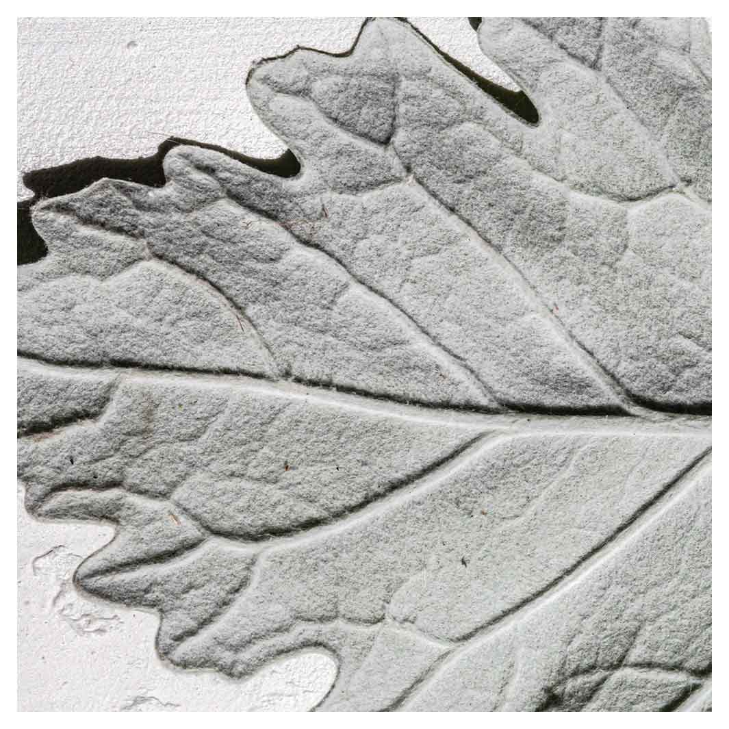 LEAVES GREY MONOCHROME LEAF SQUARE COASTER