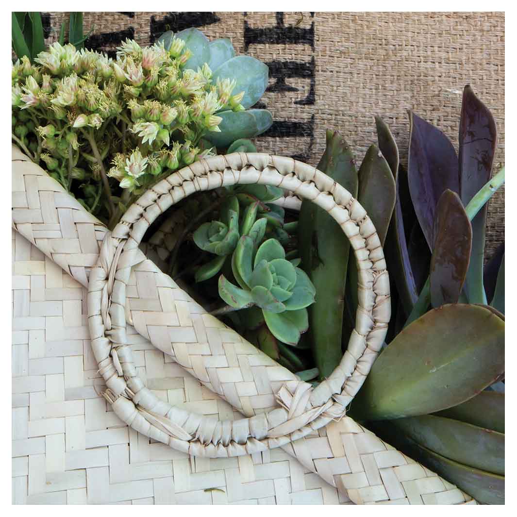 NATURAL GREEN ALOE BOUQUET IN BASKET ON HESSIAN SQUARE COASTER