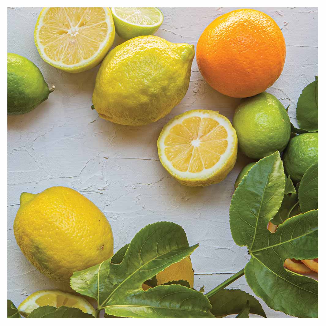 NATURAL YELLOW AND ORANGE CITRUS ON WHITE SQUARE COASTER