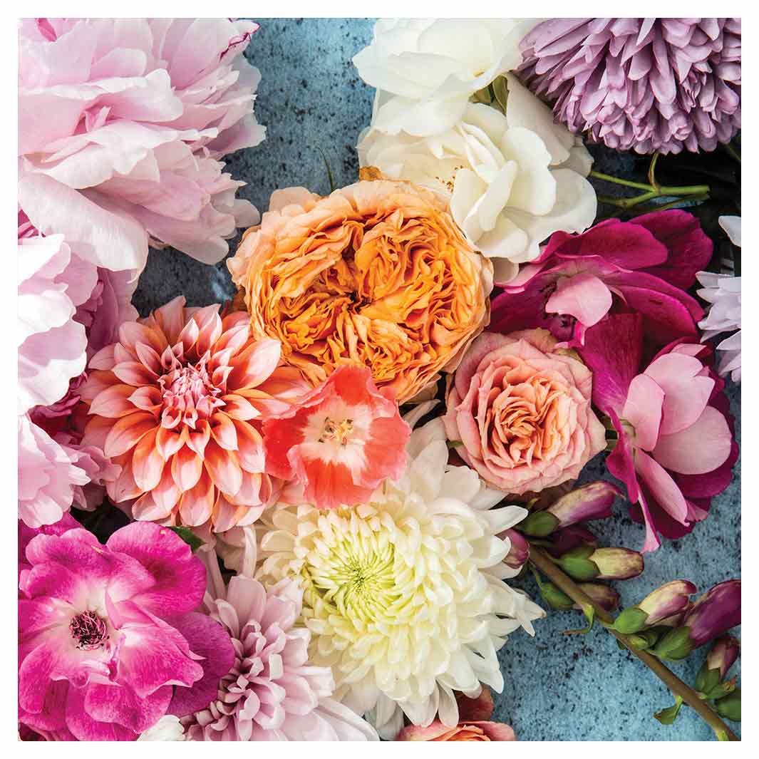 FLORAL PINK PEONY AND DAHLIA BOUQUET ON BLUE SQUARE COFFEE TABLE