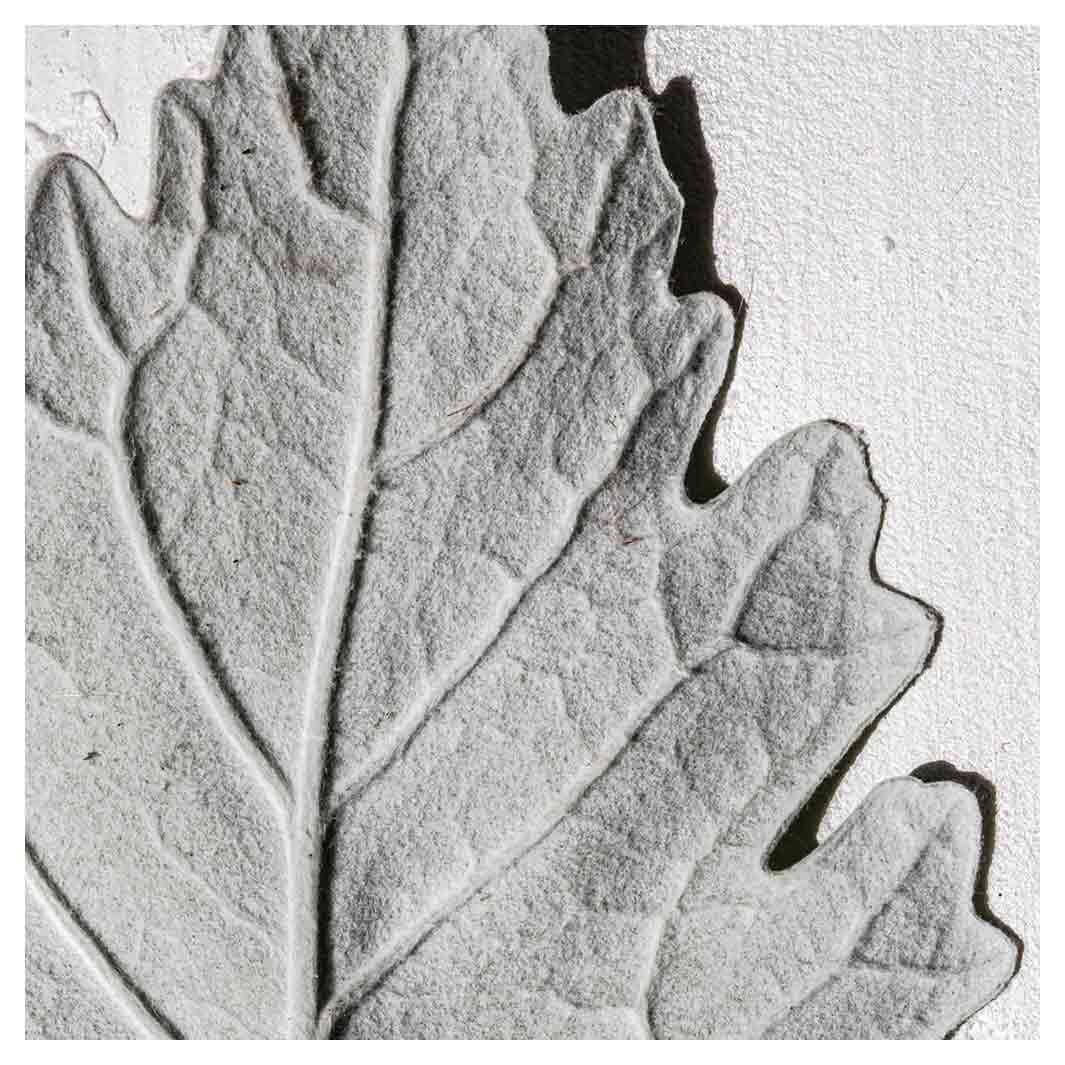 LEAVES GREY MONOCHROME LEAF SQUARE COFFEE TABLE