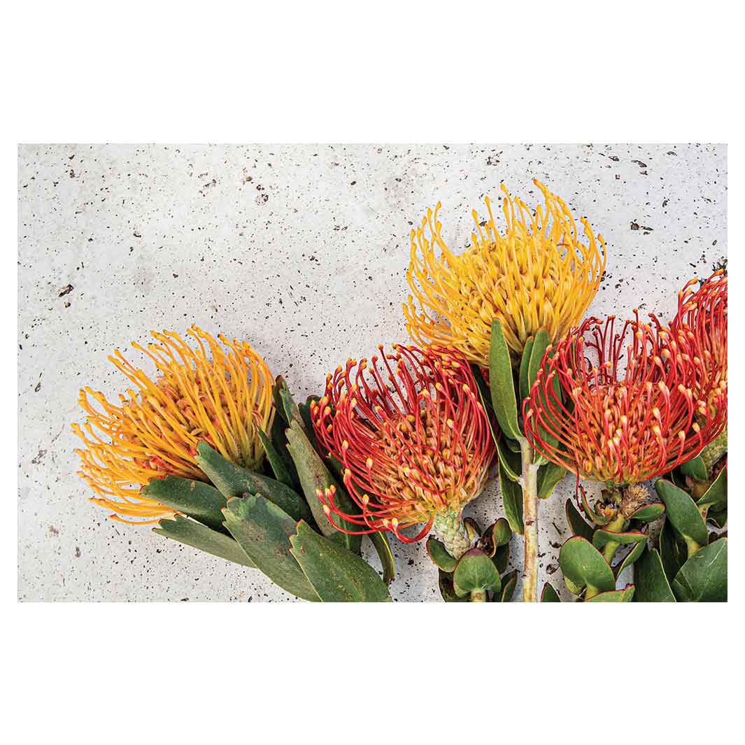 FLORAL ORANGE PIN CUSHIONS ON WHITE BATHMAT