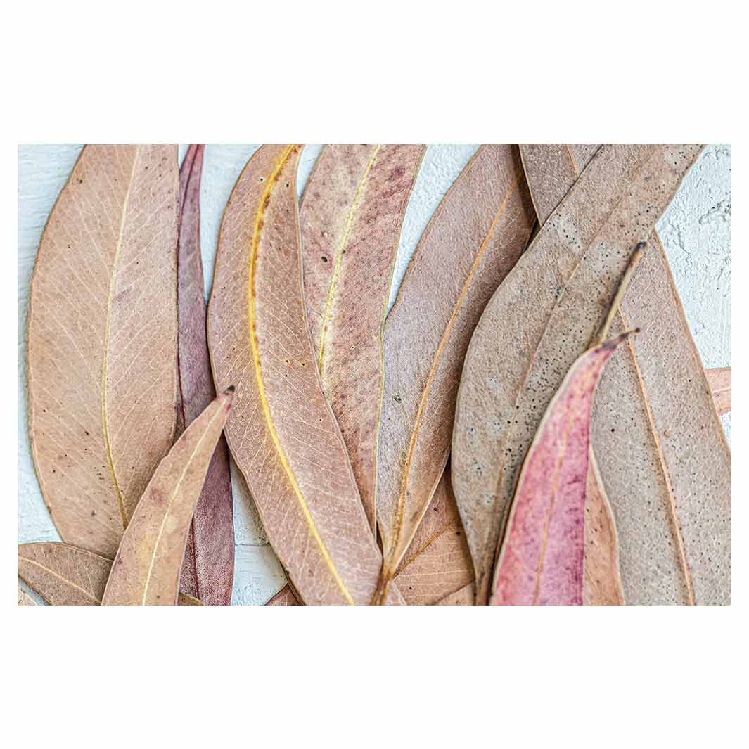 LEAVES PINK DRIED LEAVES BATHMAT