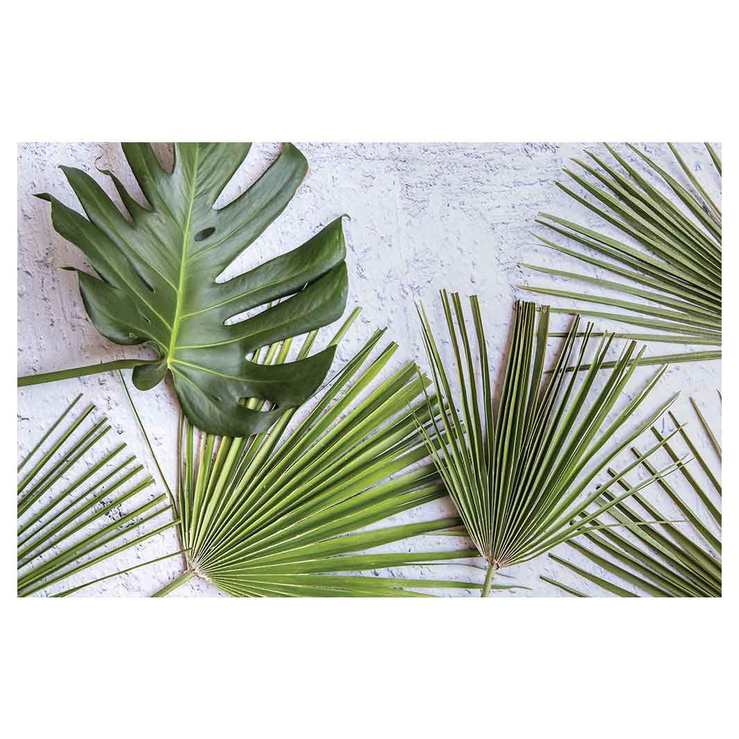 LEAVES GREEN PALM LEAVES ON WHITE BATHMAT