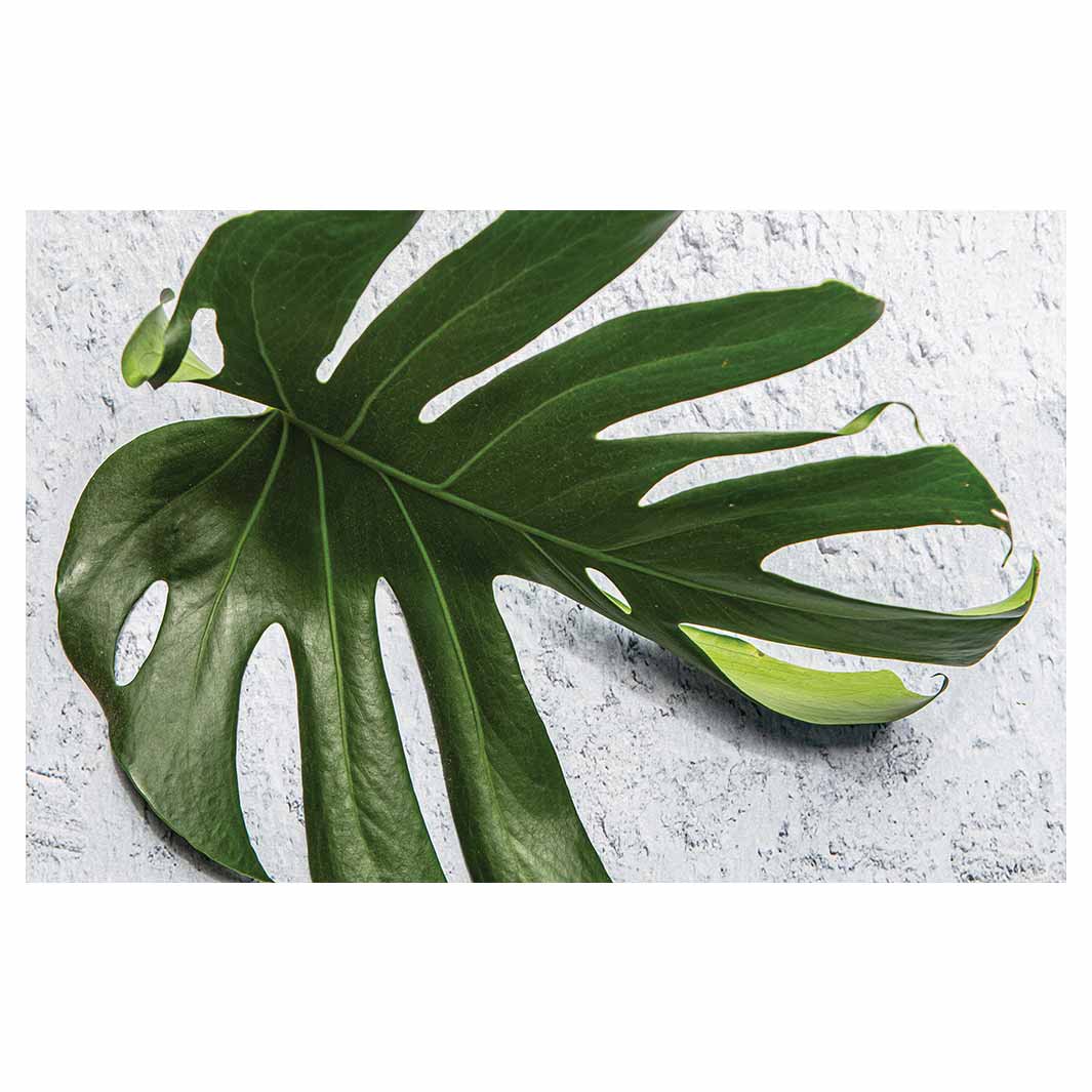 LEAVES GREEN MONSTERA LEAF BATHMAT