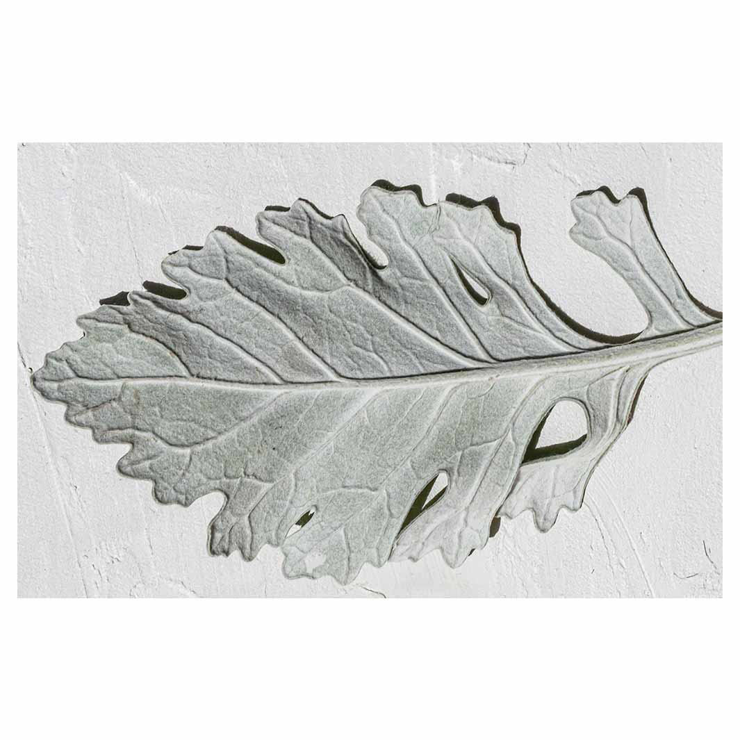 LEAVES GREY MONOCHROME LEAF BATHMAT