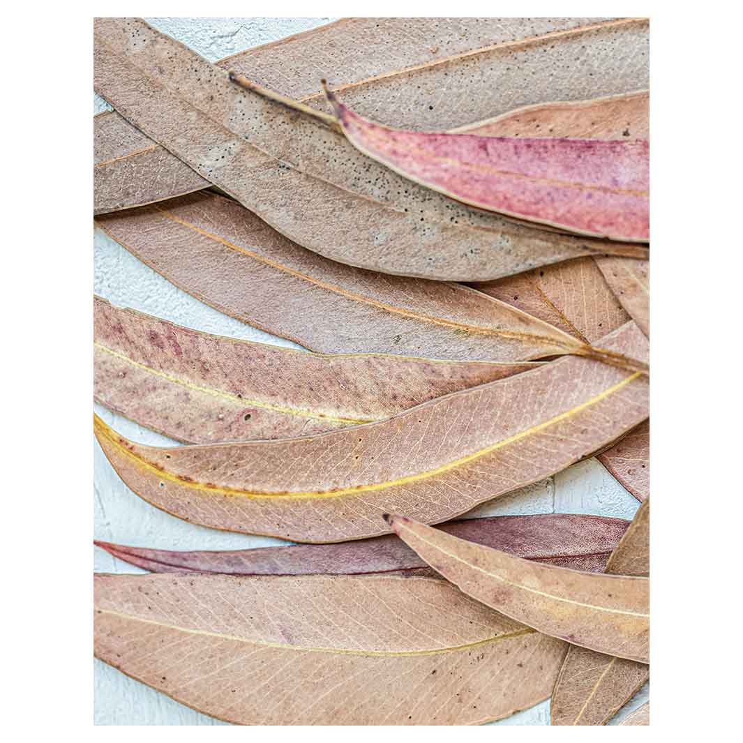 LEAVES PINK DRIED LEAVES FLEECE BLANKET