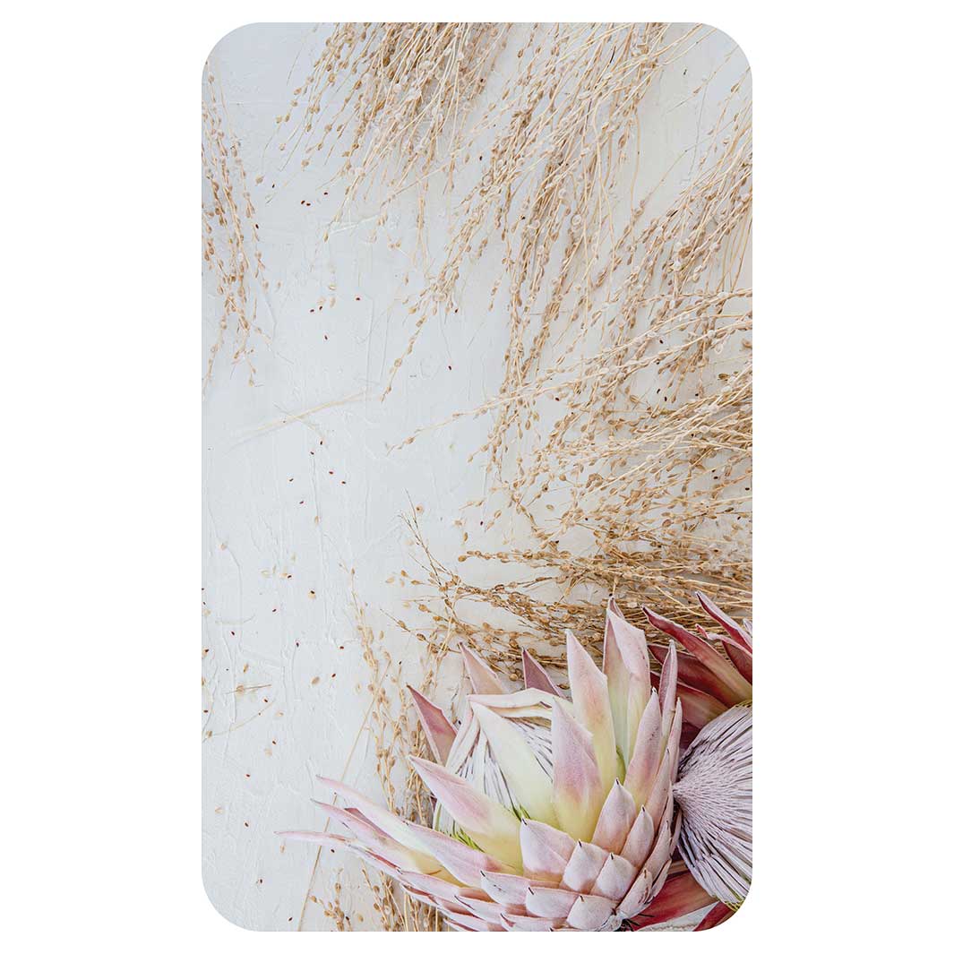 FLORAL PINK GRASSY PROTEA KITCHEN TOWEL