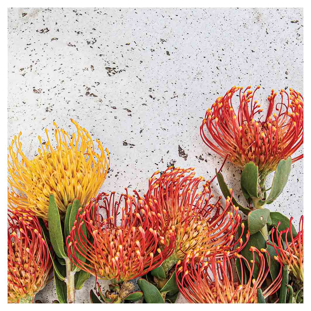 FLORAL ORANGE PIN CUSHIONS ON WHITE MAKE-UP BAG