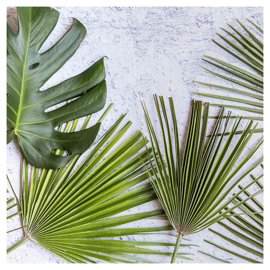 LEAVES GREEN PALM LEAVES ON WHITE MAKE-UP BAG