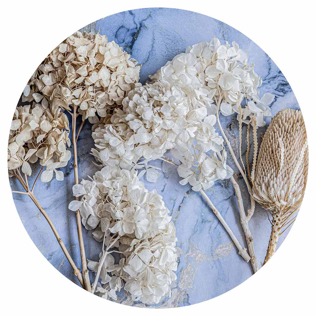 FLORAL CREAM BLEACHED HYDRANGEAS ON BLUE MOUSEPAD