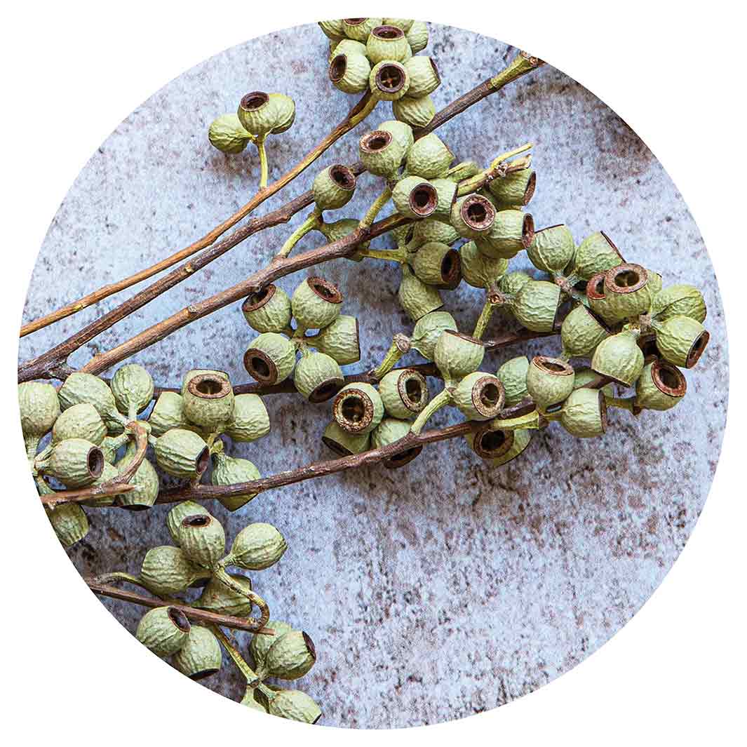 NATURAL GREEN NATURAL AMBERNUTS MOUSEPAD