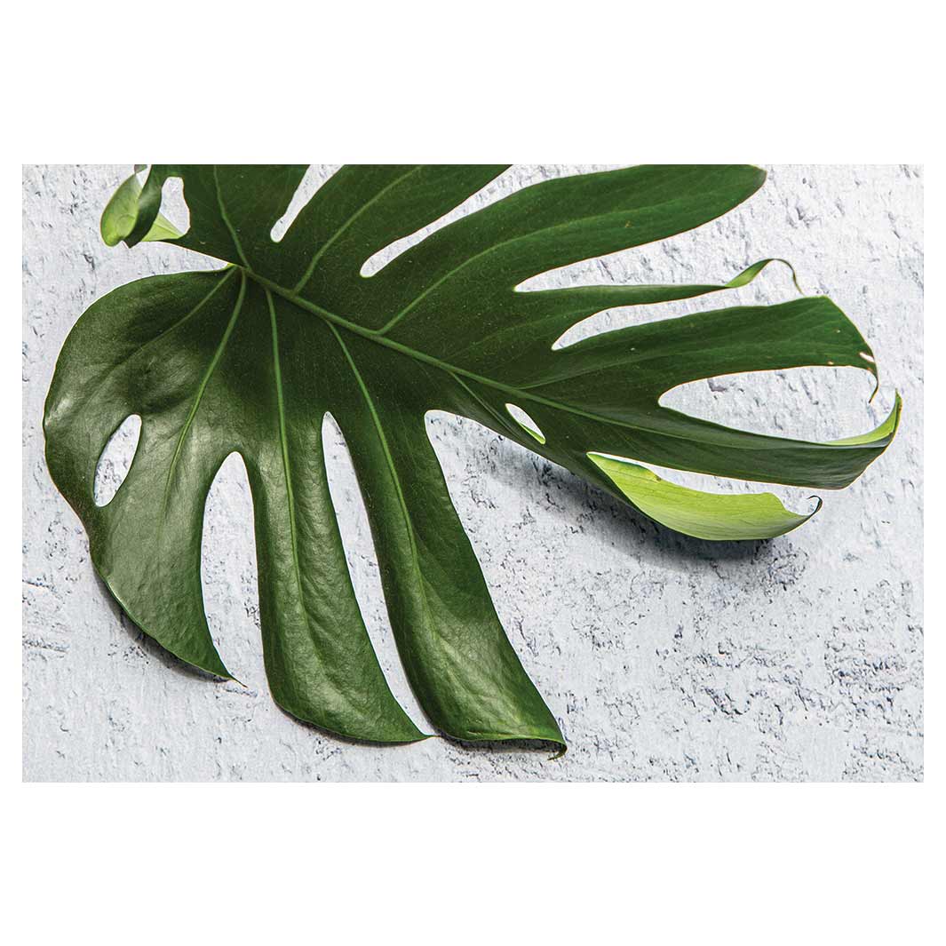 LEAVES GREEN MONSTERA LEAF RECTANGULAR PLACEMAT