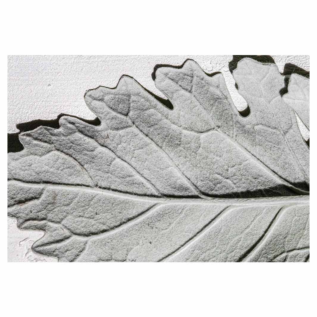 LEAVES GREY MONOCHROME LEAF RECTANGULAR PLACEMAT