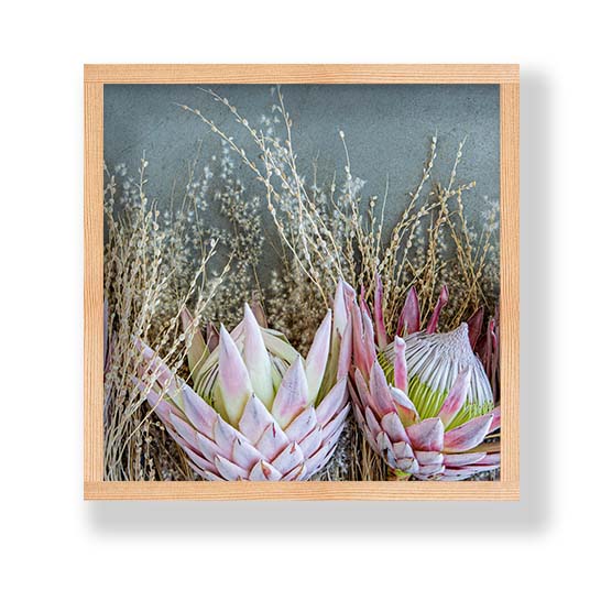 FLORAL DEEP PINK KING PROTEA PINE BOX