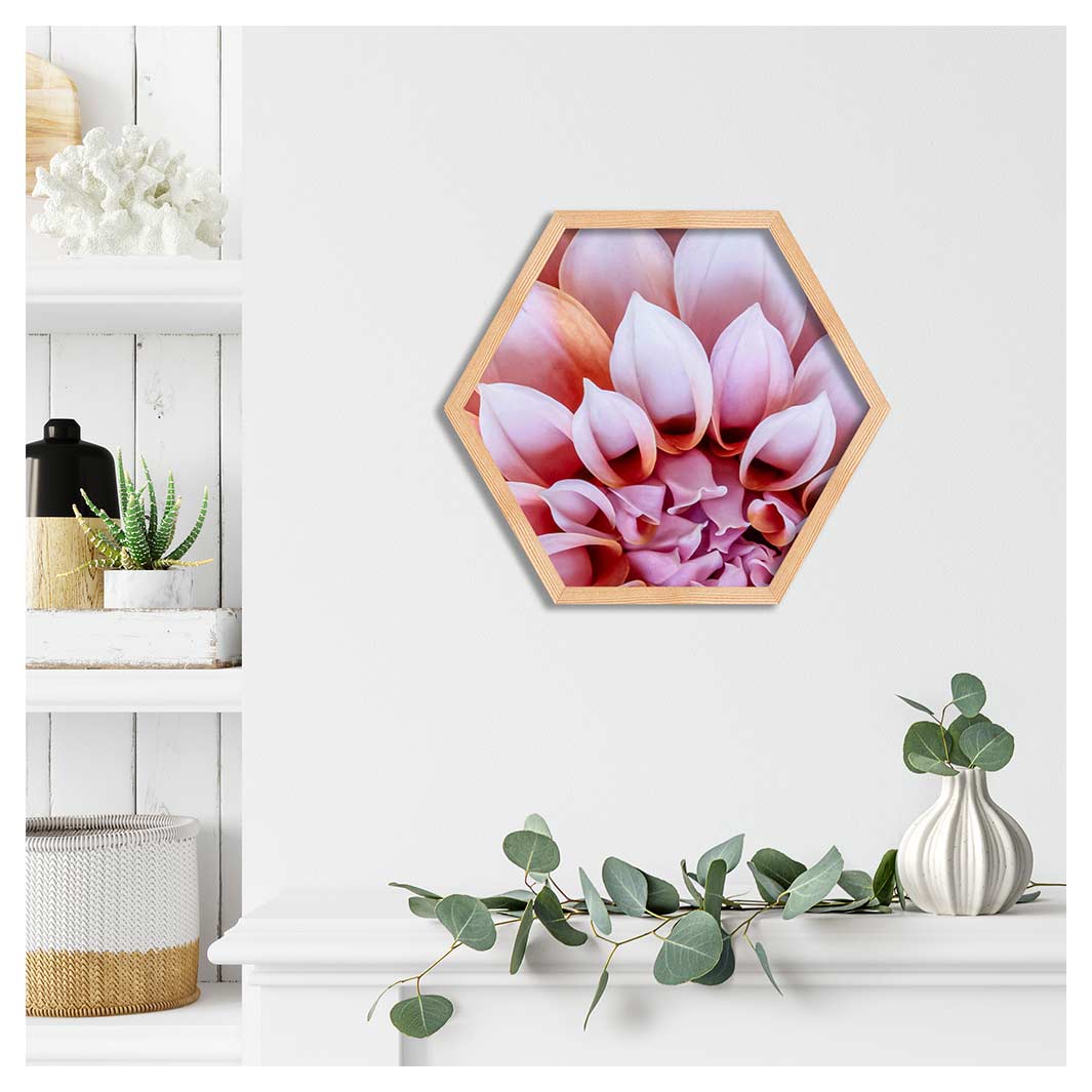 FLORAL PINK AND ORANGE DAHLIA FLOWERS PINE HEX