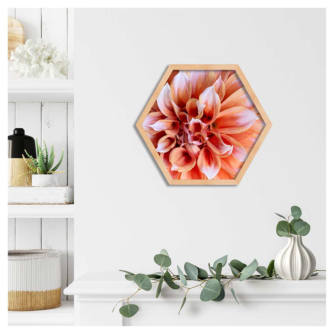 FLORAL PINK DAHLIA PINE HEX