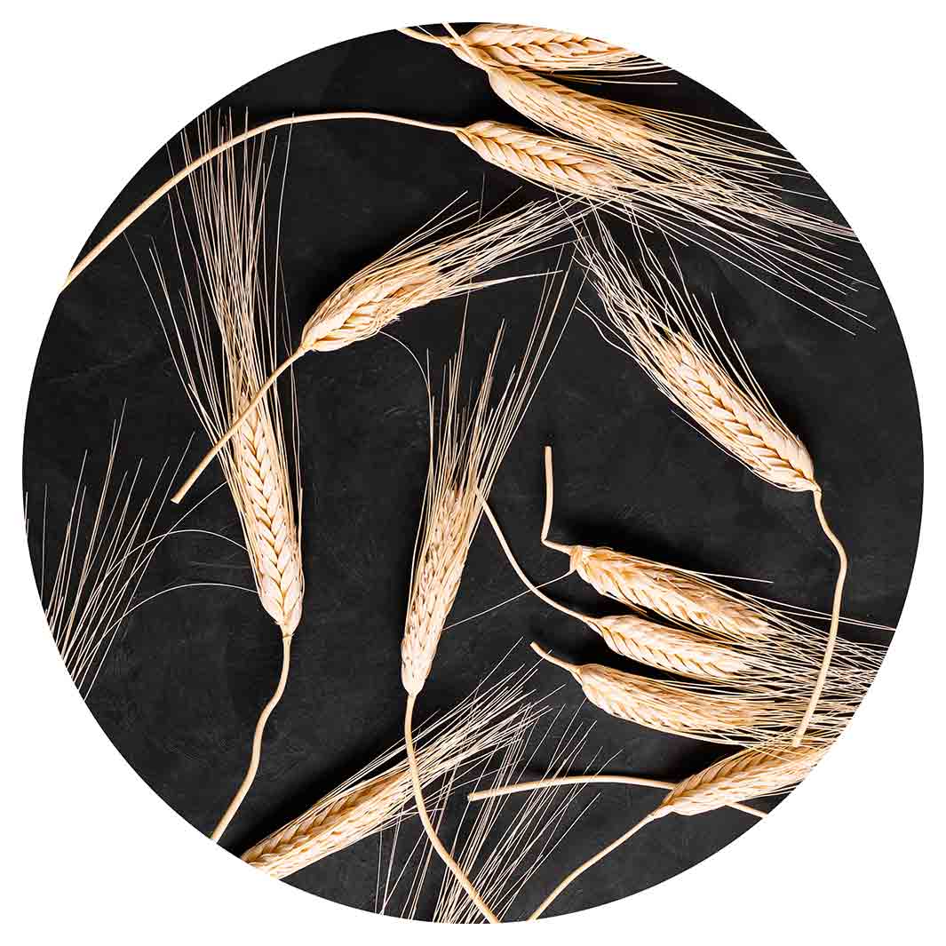 SCATTERED WHEAT ON BLACK ROUND PLACEMAT