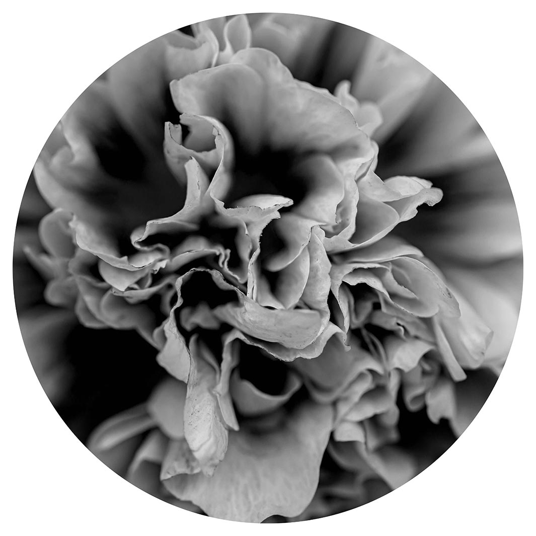 FLORAL BLACK AND WHITE PEONY ROUND PLACEMAT