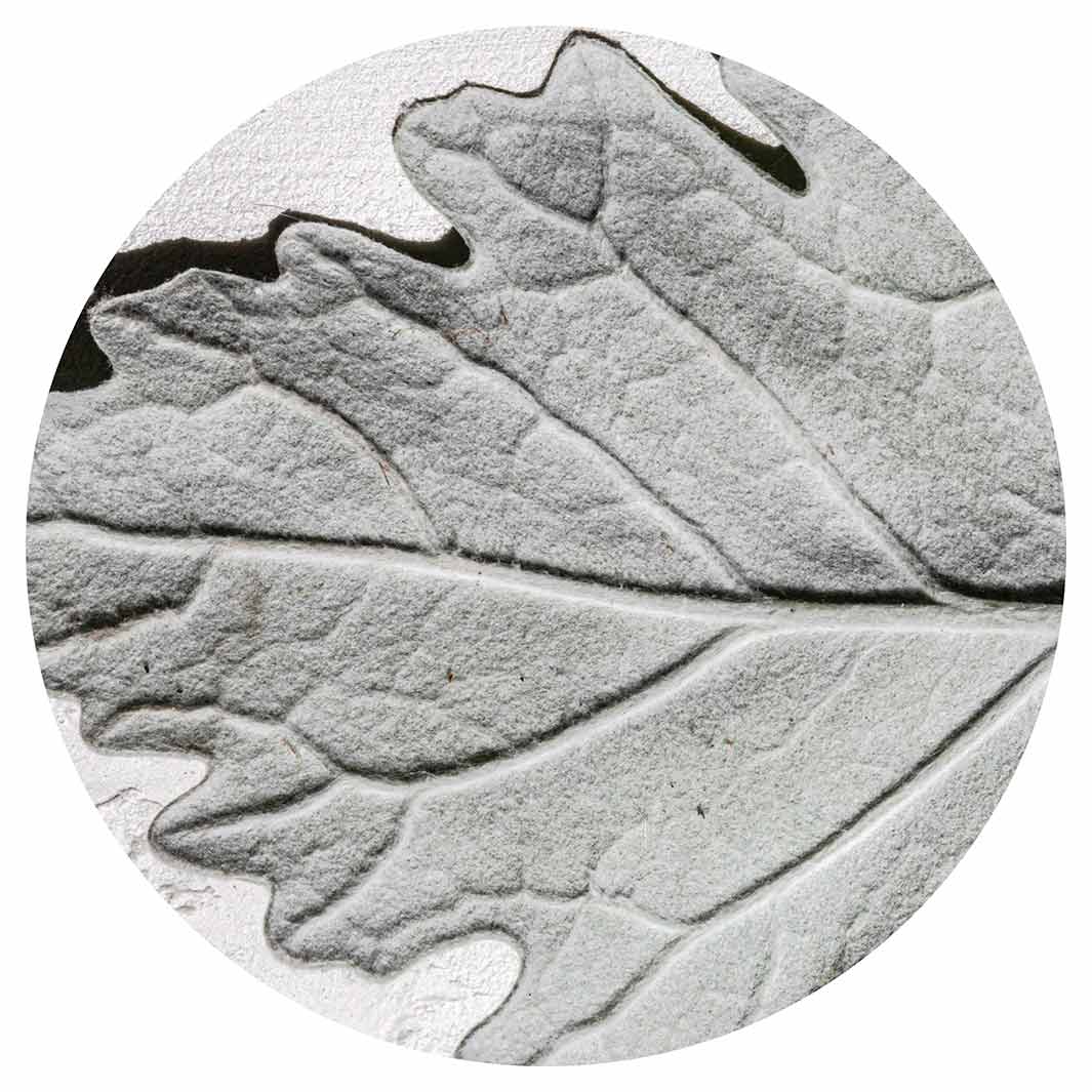 LEAVES GREY MONOCHROME LEAF ROUND PLACEMAT