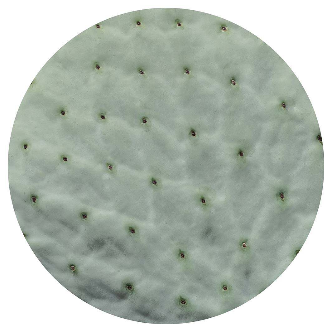 NATURAL GREEN PRICKLY PEAR LEAF ROUND PLACEMAT