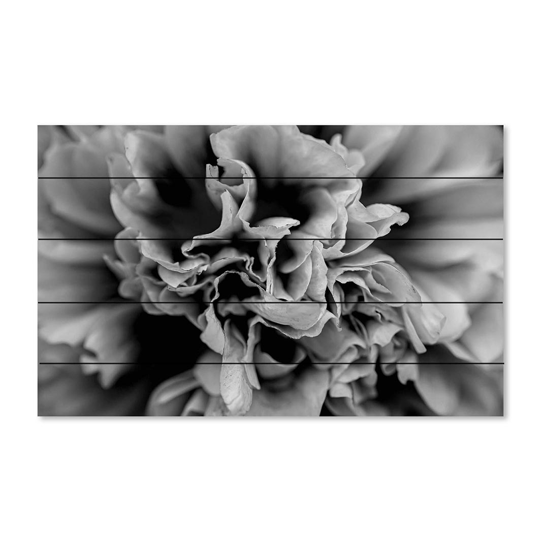 FLORAL BLACK AND WHITE PEONY PINE WOOD PRINT