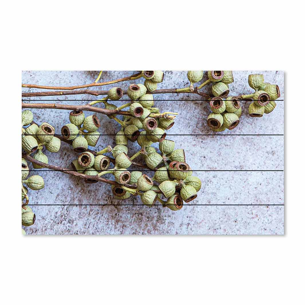 NATURAL GREEN NATURAL AMBERNUTS PINE WOOD PRINT