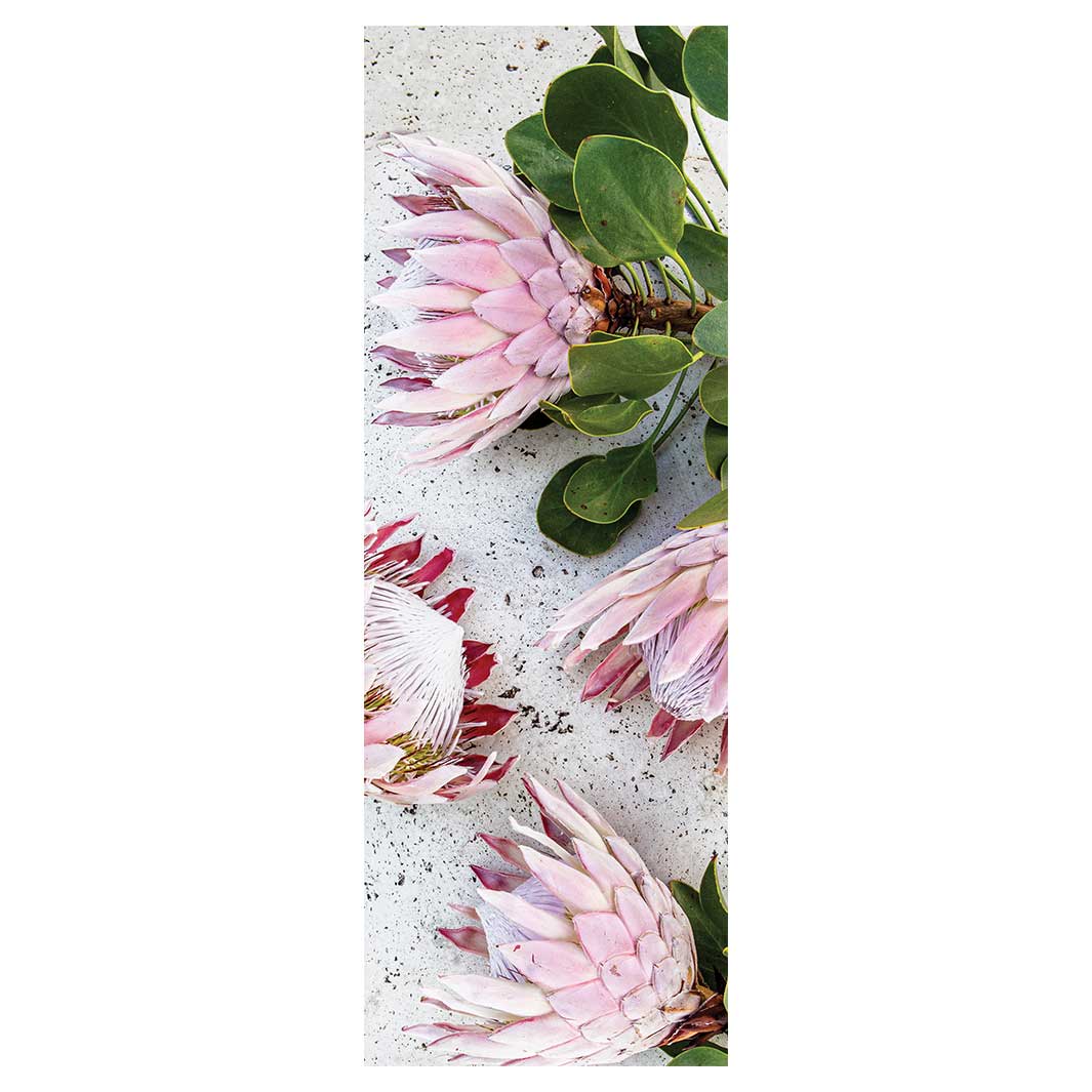 FLORAL PINK PROTEAS ON WHITE RUNNER RUG