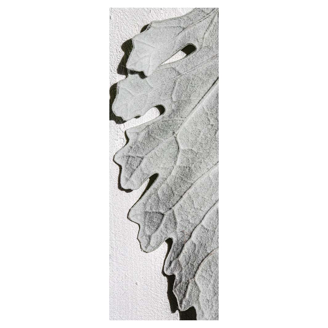 LEAVES GREY MONOCHROME LEAF RUNNER RUG