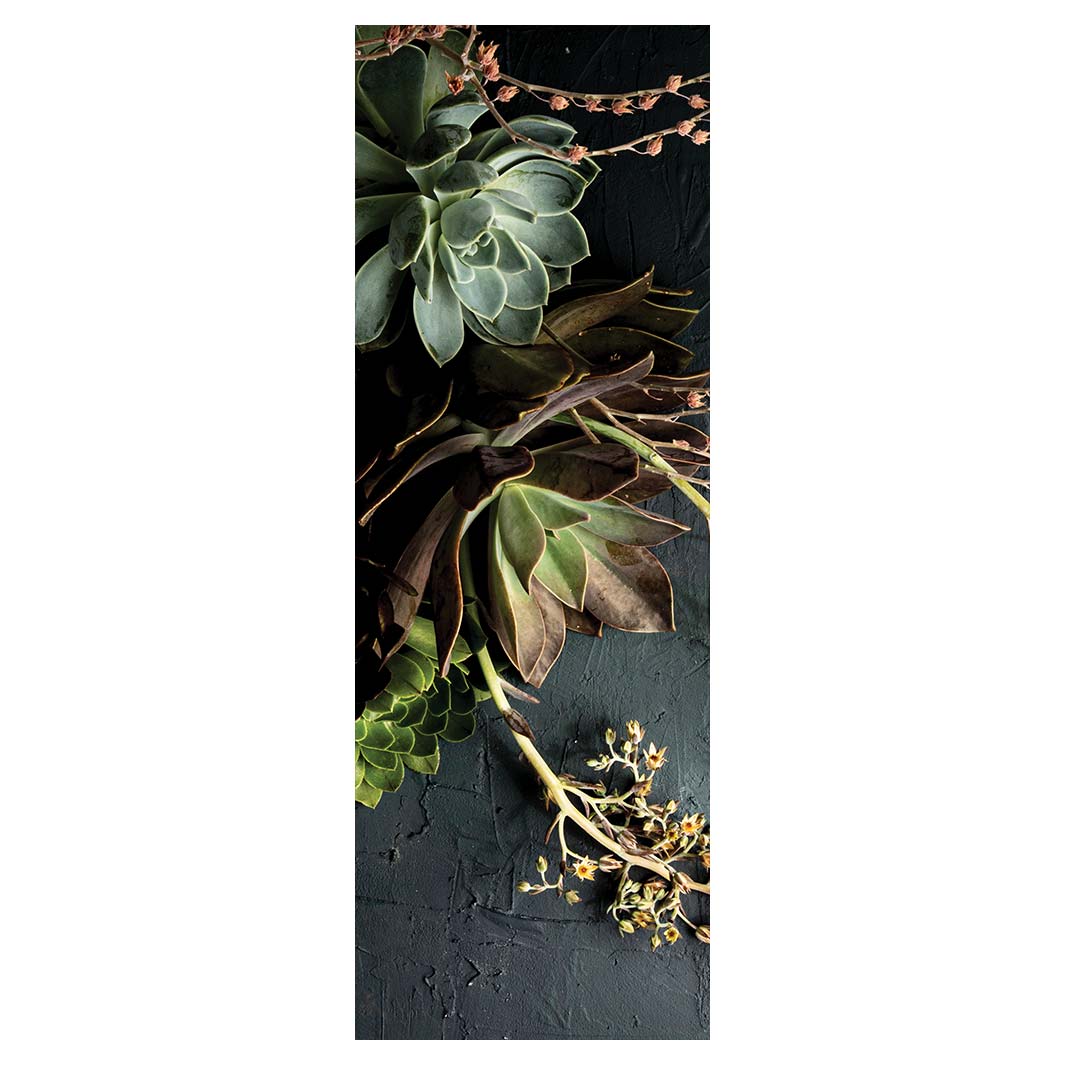 NATURAL GREEN ALOE BUSH WITH LEAVES RUNNER RUG