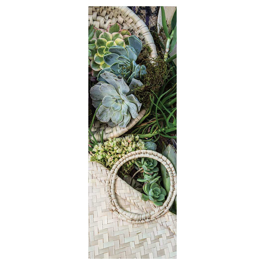 NATURAL GREEN ALOE BOUQUET IN BASKET ON HESSIAN RUNNER RUG