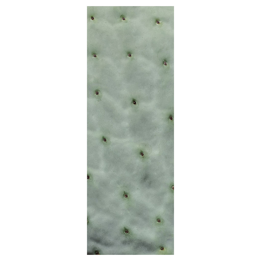 NATURAL GREEN PRICKLY PEAR LEAF RUNNER RUG