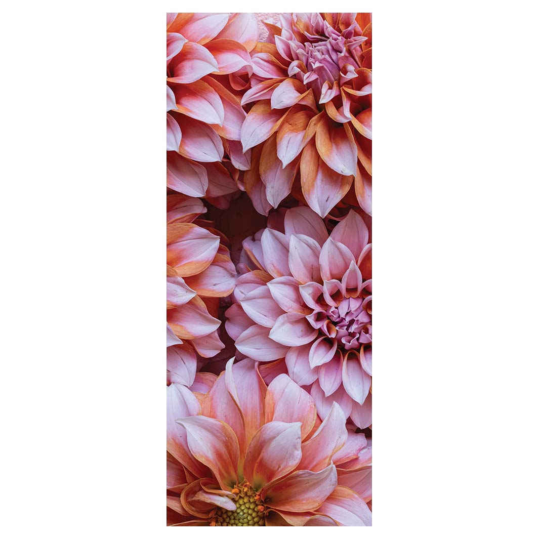 FLORAL PINK AND ORANGE DAHLIA FLOWERS ROOM DIVIDER