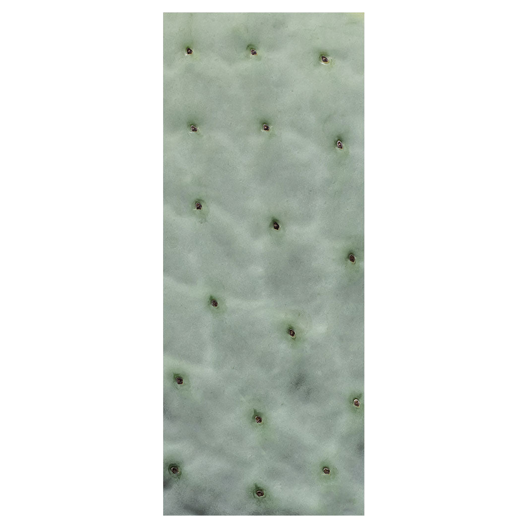 NATURAL GREEN PRICKLY PEAR LEAF ROOM DIVIDER