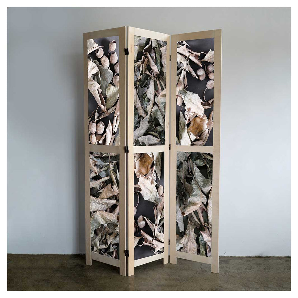 Room Dividers