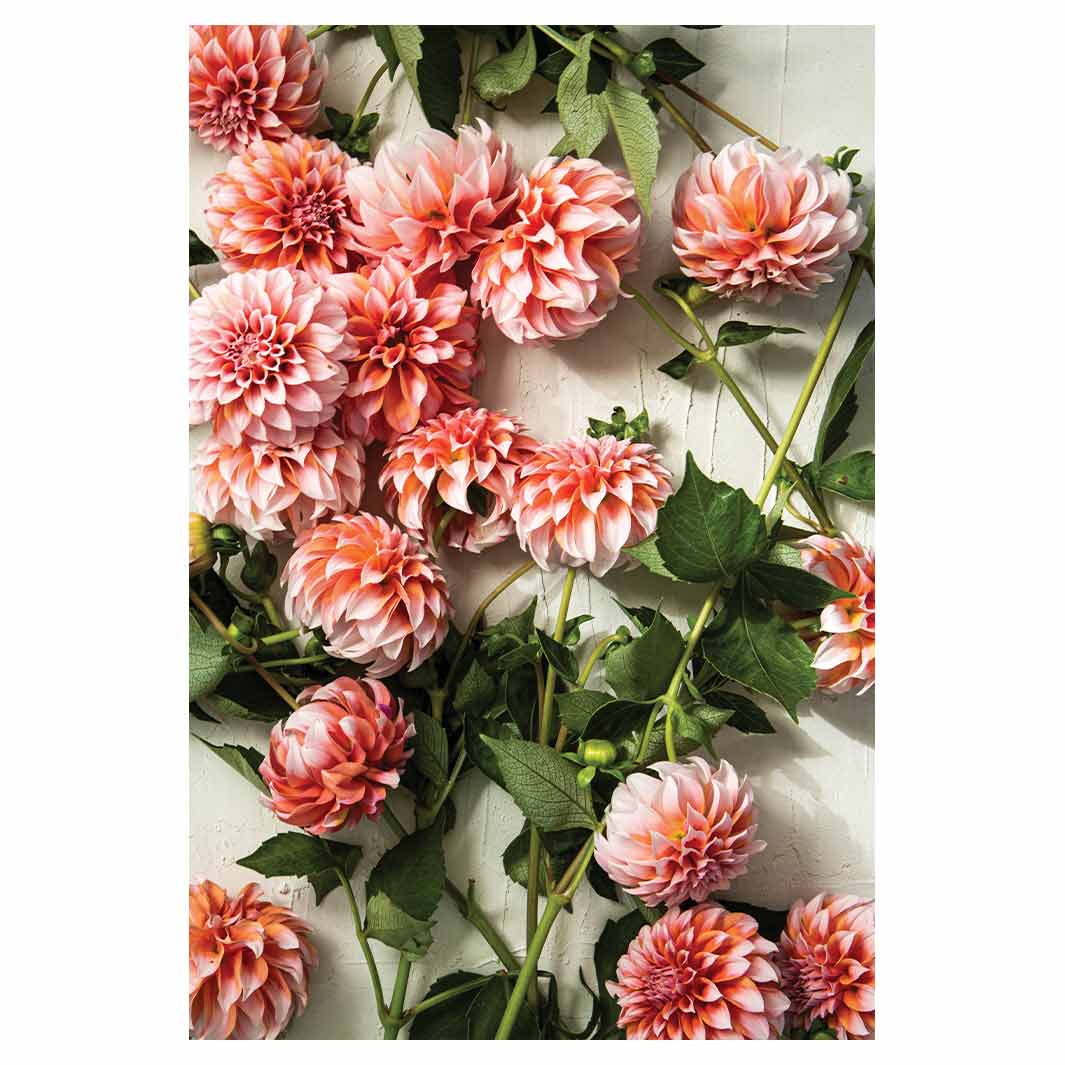 FLORAL ORANGE SCATTERED DAHLIAS WITH LEAVES RECTANGULAR RUG