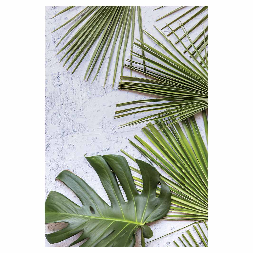 LEAVES GREEN PALM LEAVES ON WHITE RECTANGULAR RUG