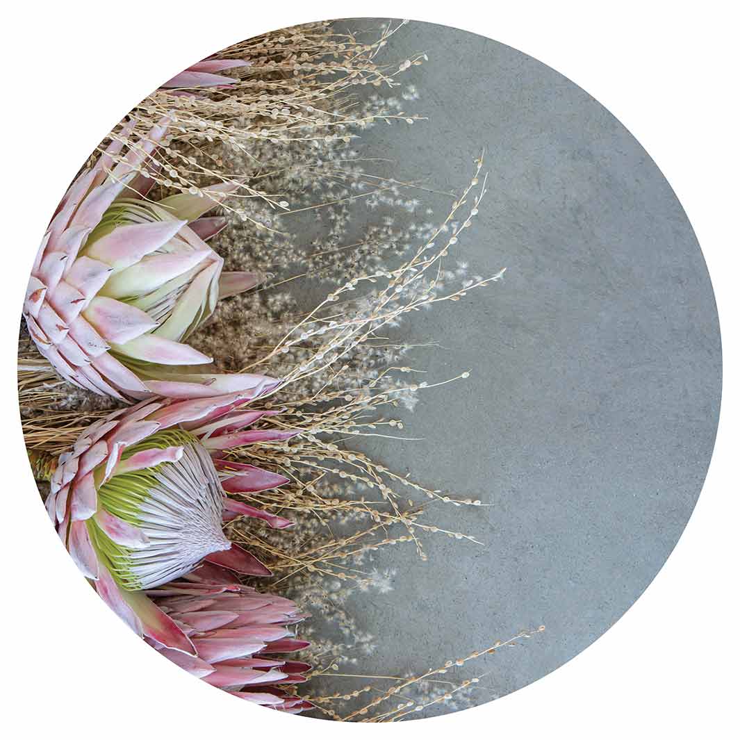 FLORAL DEEP PINK KING PROTEA ROUND RUG