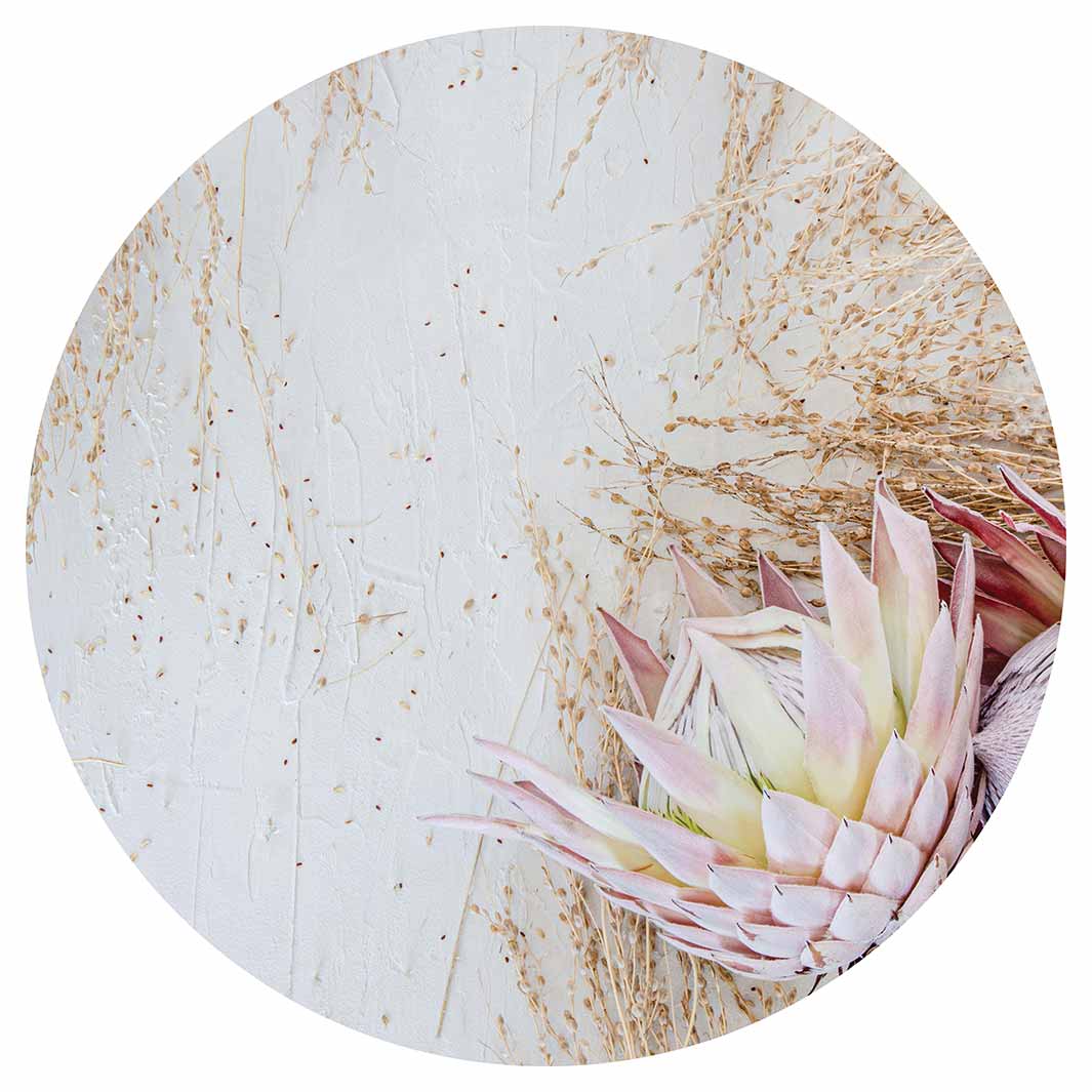 FLORAL PINK GRASSY PROTEA ROUND RUG