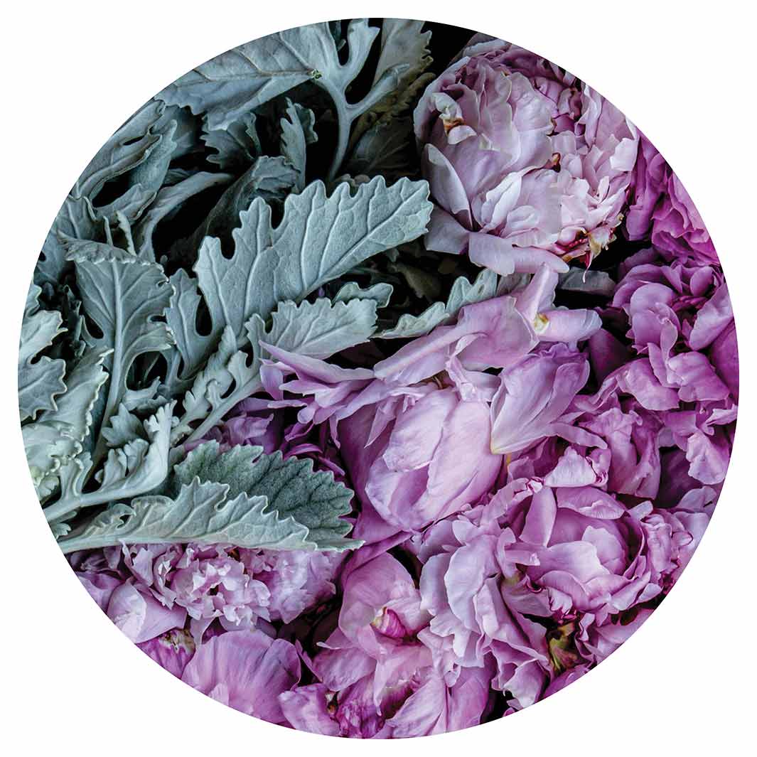 FLORAL SILVER LEAVES WITH PINK PEONIES ROUND RUG