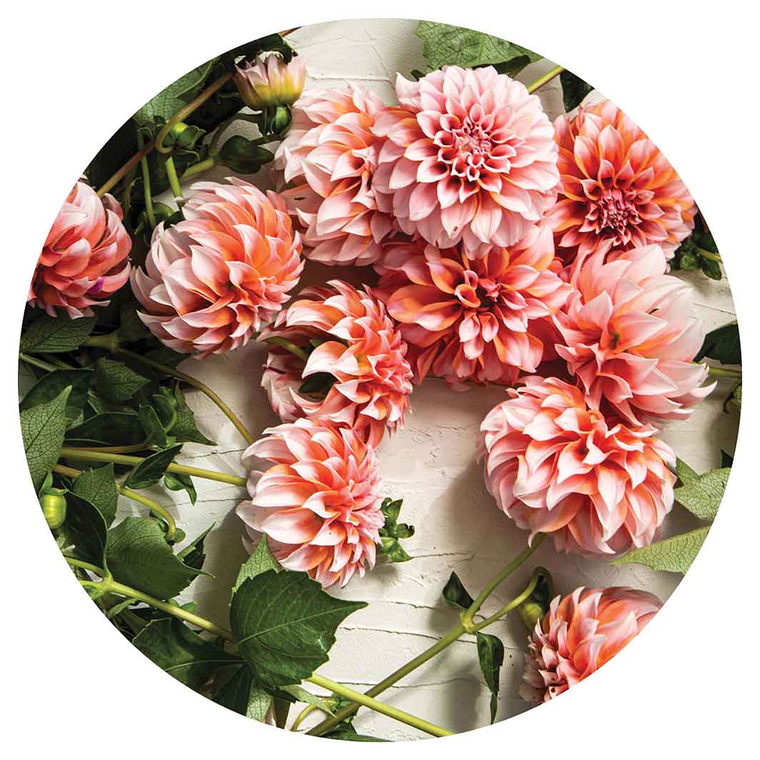 FLORAL ORANGE SCATTERED DAHLIAS WITH LEAVES ROUND RUG