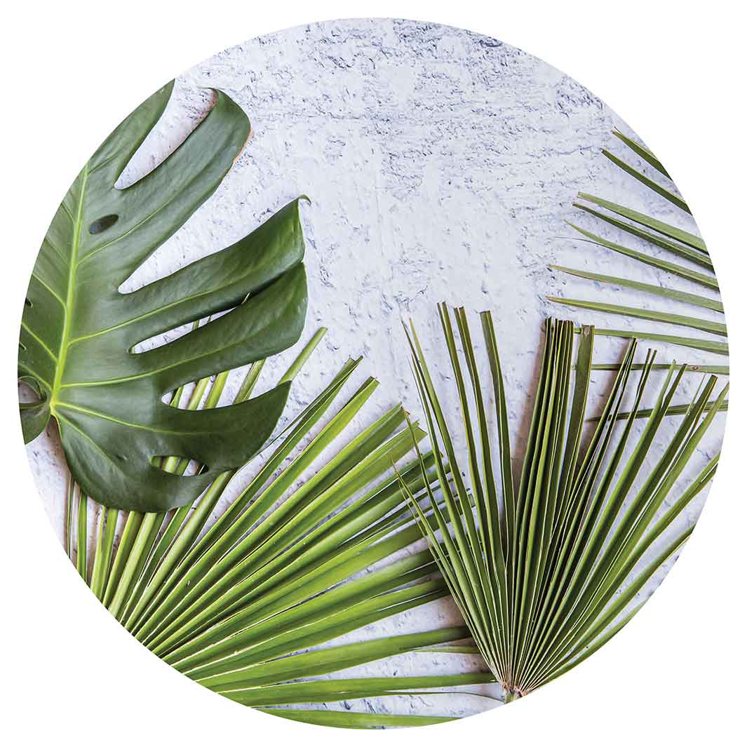 LEAVES GREEN PALM LEAVES ON WHITE ROUND RUG