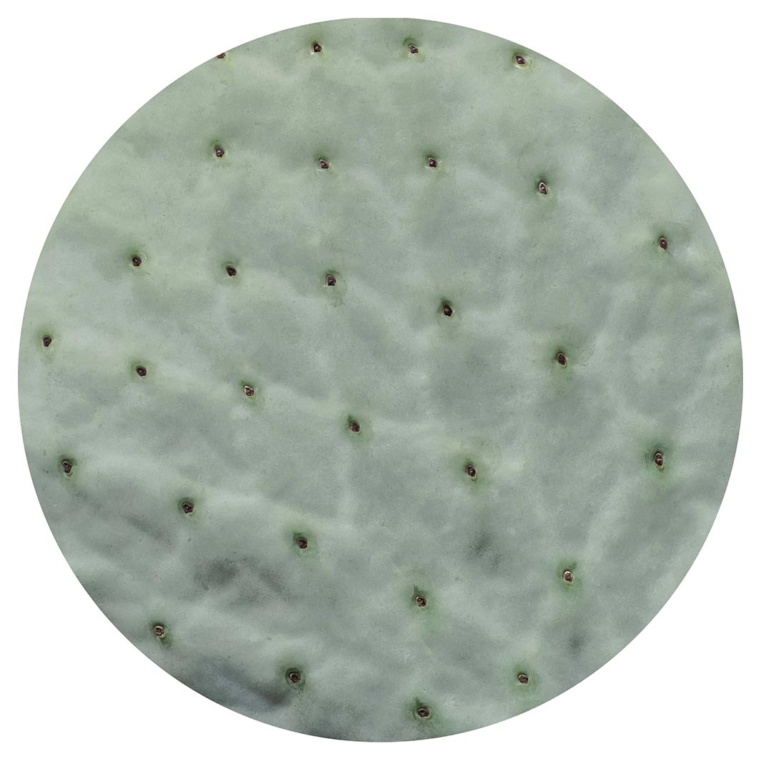 NATURAL GREEN PRICKLY PEAR LEAF ROUND RUG