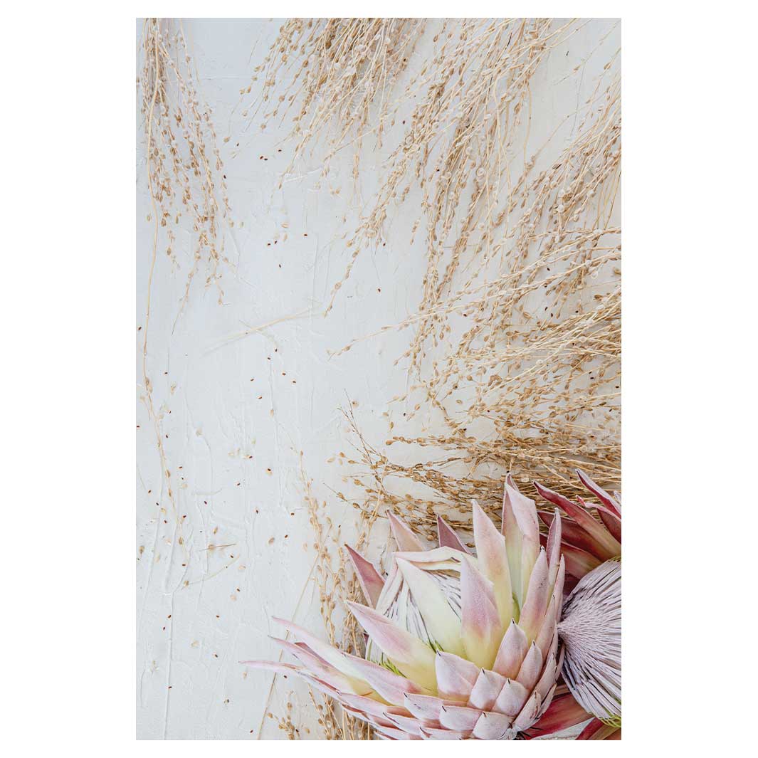 FLORAL PINK GRASSY PROTEA RECTANGULAR RUG