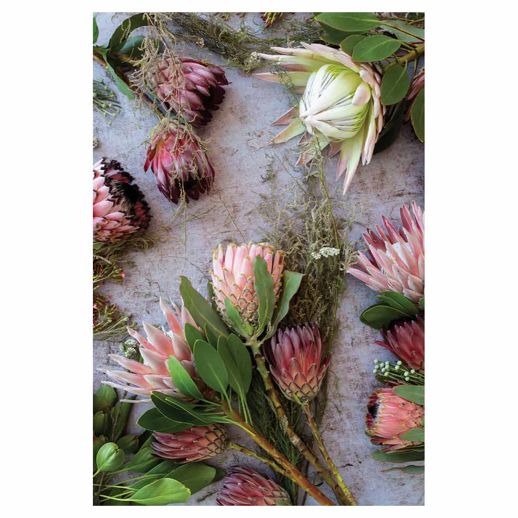 FLORAL PINK MIXED KING PROTEAS RECTANGULAR RUG