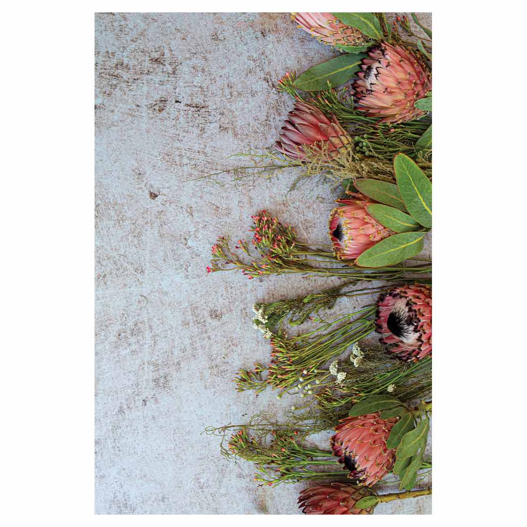 FLORAL PINK MIXED PROTEAS WITH GREEN FOLIAGE RECTANGULAR RUG